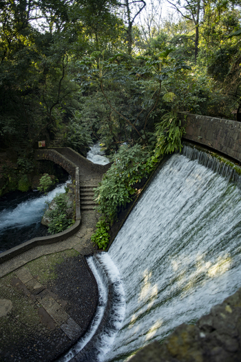View of the waterfall and stone bridge in Parque Nacional Barranca del Cupatitzio surrounded by lush vegetation in Uruapan Michoacan Mexico. View of the waterfall and stone bridge in Parque Nacional Barranca del Cupatitzio surrounded by lush vegetation in Uruapan Michoacan Mexico.