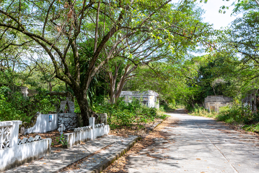 View of abandoned ruins and decaying concrete structures being reclaimed by lush green vegetation and trees along a quiet road.