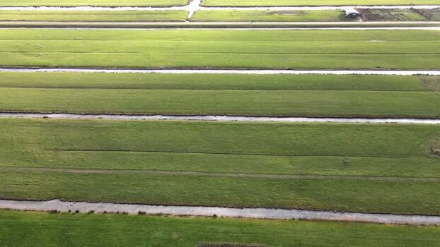 Aerial view of green fields and waterways Netherlands.