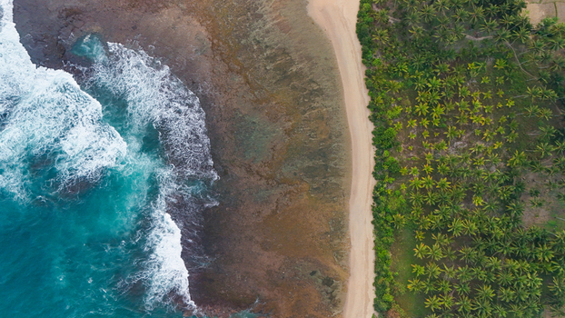 Aerial view of a tropical beach with turquoise waves crashing against a rocky shoreline adjacent to a sandy beach and a lush palm tree forest in Indonesia. Aerial view of a tropical beach with turquoise waves crashing against a rocky shoreline adjacent to a sandy beach and a lush palm tree forest in Indonesia.