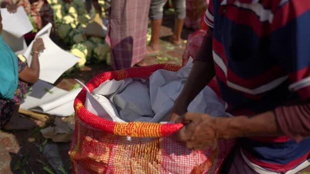 View of people packing cauliflower into large baskets Bangladesh. View of people packing cauliflower into large baskets Bangladesh.