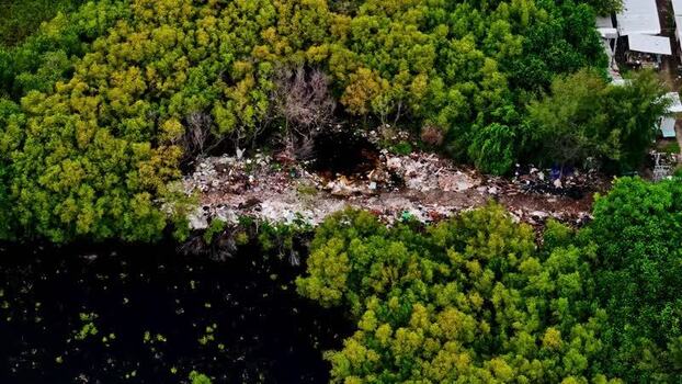 Aerial view of waste accumulation in a mangrove forest Indonesia.