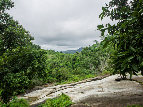 View of a rocky landscape with lush green trees and rolling hills under a cloudy sky in Jos Plateau Nigeria. View of a rocky landscape with lush green trees and rolling hills under a cloudy sky in Jos Plateau Nigeria.