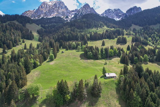Aerial view of a traditional wooden chalet nestled in lush green meadows surrounded by dense pine forests and rugged mountain peaks Rougemont Vaud Switzerland. Aerial view of a traditional wooden chalet nestled in lush green meadows surrounded by dense pine forests and rugged mountain peaks Rougemont Vaud Switzerland.
