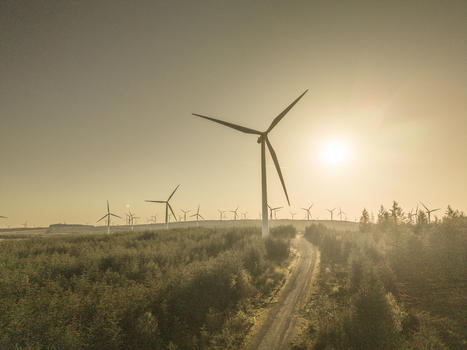 Aerial view of the wind turbines on Eaglesham Moor with a dirt track winding through the forest under a golden sunset in Kilmarnock Scotland United Kingdom.