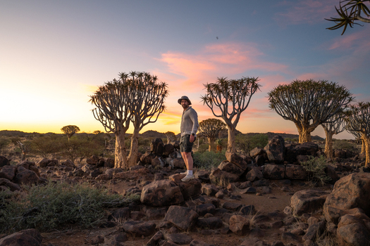 Aussenkehr Namibia 06 March 2026 View of a man standing amidst the surreal quiver trees their silhouettes stark against the pastel hues of the sunset. Aussenkehr Namibia 06 March 2026 View of a man standing amidst the surreal quiver trees their silhouettes stark against the pastel hues of the sunset.