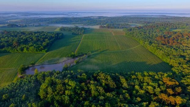 Aerial view of vineyards and a pond in the countryside of France. Aerial view of vineyards and a pond in the countryside of France.