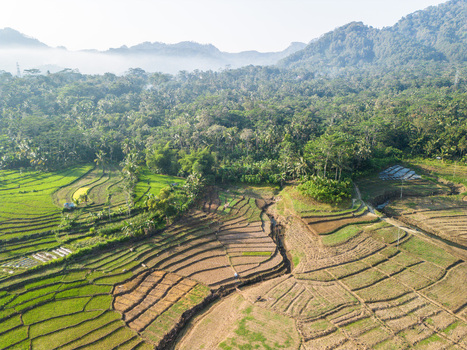 Aerial view of Karanganyar rice terraces with lush green paddies brown fallow fields and dense tropical forest against a backdrop of misty mountains in Wadaslintang Central Java Indonesia. Aerial view of Karanganyar rice terraces with lush green paddies brown fallow fields and dense tropical forest against a backdrop of misty mountains in Wadaslintang Central Java Indonesia.