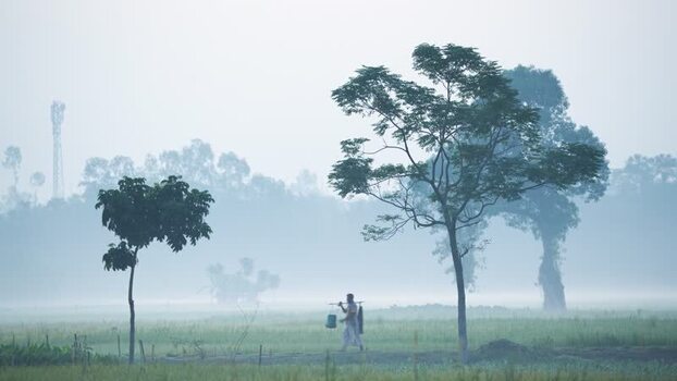 View of a farmer walking through misty fields in Bogura Bangladesh.