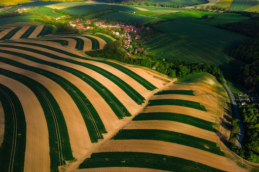 Aerial view of striped agricultural fields on rolling hills with a small village and lush forests under soft sunlight in Chvalkovice Hradec Kralove Region Czechia.