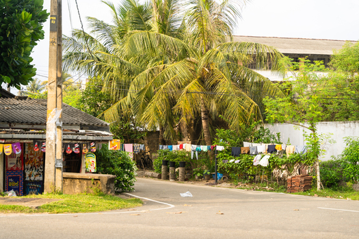 View of a local street with a small shop laundry hanging on a line and lush palm trees in Galle Southern Province Sri Lanka.