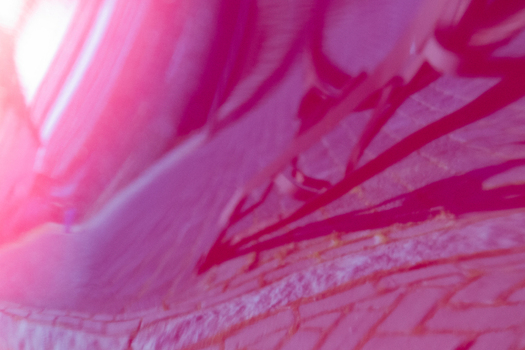 View of blurred lines and soft hues create an ethereal dreamlike abstract of the ground Dronten Flevoland Netherlands. View of blurred lines and soft hues create an ethereal dreamlike abstract of the ground Dronten Flevoland Netherlands.