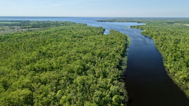 Aerial view of Sixmile Creek winding through a dense green forest canopy towards the horizon under a clear blue sky in St. Johns County Florida United States.