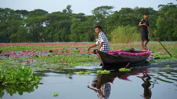 View of men in a boat on a water lily lake Bangladesh. View of men in a boat on a water lily lake Bangladesh.