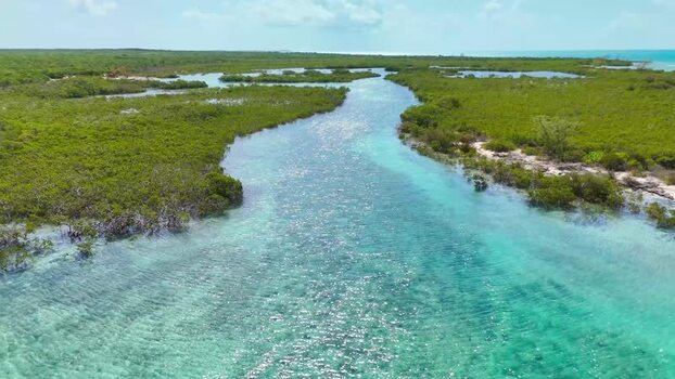 Aerial view of a turquoise channel through mangroves The Bahamas.