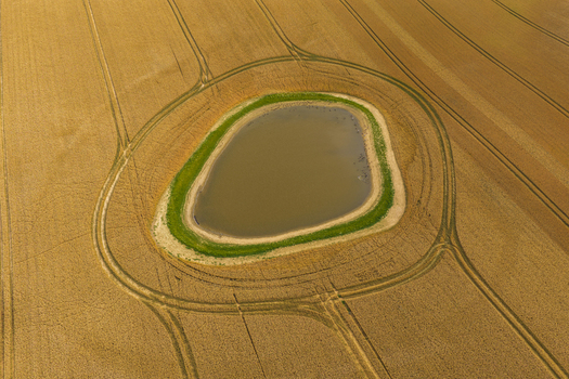 Aerial view of a small pond surrounded by a vibrant green grassy bank set within a vast golden wheat field with visible tractor tracks in Tczew Pomeranian Voivodeshi Poland. Aerial view of a small pond surrounded by a vibrant green grassy bank set within a vast golden wheat field with visible tractor tracks in Tczew Pomeranian Voivodeshi Poland.