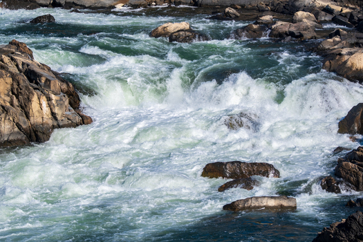 AAB_A456103 AAB_A456103