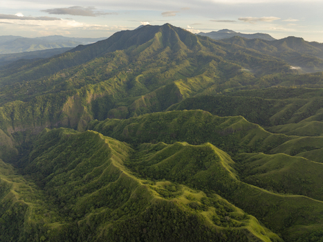 Aerial view of Avatar Hill also known as Watu Nari Wowo featuring lush green rolling hills and deep valleys under a soft sunset sky in Bajawa East Nusa Tenggara Indonesia.