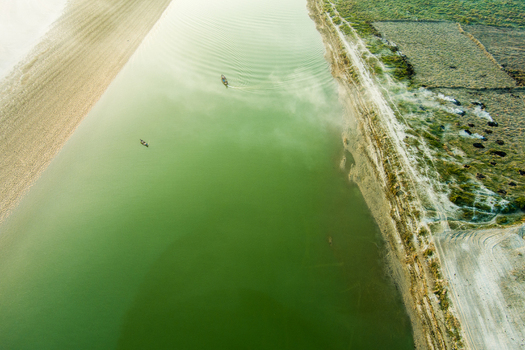 Aerial view of small wooden boats on the calm green Padma River with sandy banks and agricultural fields along the shore in Rajshahi Rajshahi Division Bangladesh.