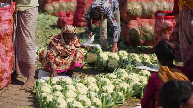 View of people sorting fresh cauliflowers at a market Bangladesh. View of people sorting fresh cauliflowers at a market Bangladesh.