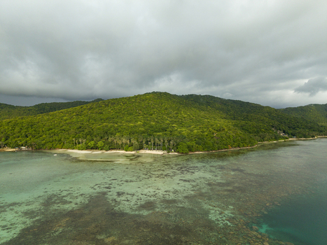Aerial view of a lush verdant island meeting the turquoise sea under a brooding sky Karimunjawa Central Java Indonesia.