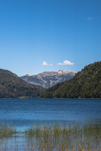 View of Lago Falkner with reeds in the foreground and mountains under a clear blue sky in Lacar Department Neuquen Province Argentina.