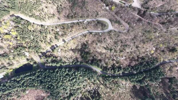 Aerial view of winding roads in forest France.