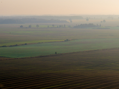 Aerial view of vast agricultural fields and rolling meadows shrouded in morning mist under a soft hazy sky Taujenai Vilnius County Lithuania.