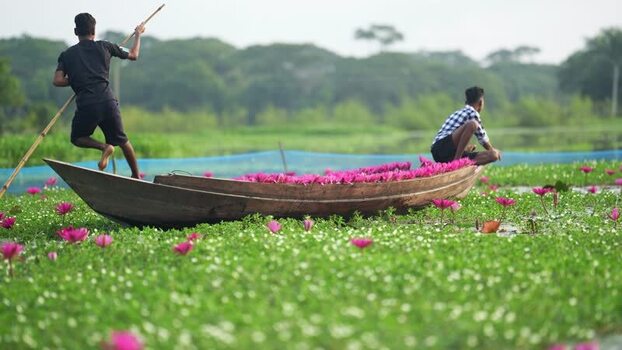 View of fishermen in a boat with pink water lilies Bangladesh. View of fishermen in a boat with pink water lilies Bangladesh.