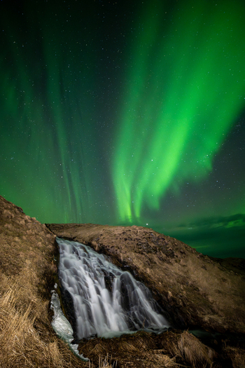 View of a cascading waterfall flowing down a rocky hillside under the vibrant green lights of the aurora borealis in the night sky in Leknes Lofoten Norway.