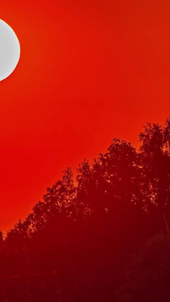 View of the moon in a red sky over the trees Latvia. View of the moon in a red sky over the trees Latvia.