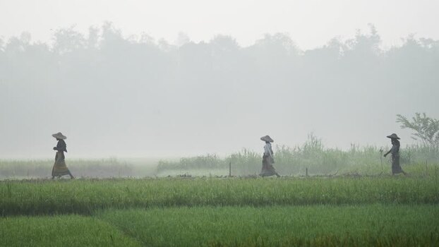 View of people walking through misty fields in Bogura Bangladesh.
