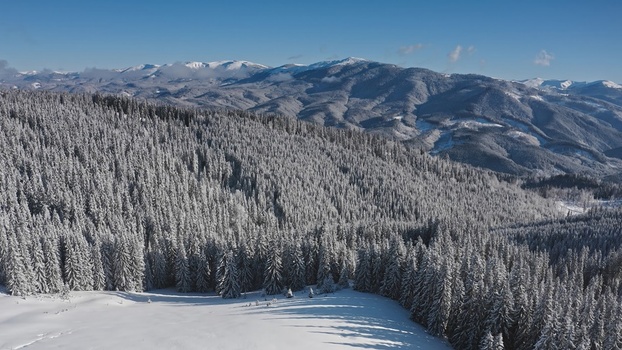 Aerial view of the snow covered Carpathian Mountains and dense pine forests blanketed in winter snow under a clear blue sky in Bukovel Ivano Frankivsk Oblast Ukraine. Aerial view of the snow covered Carpathian Mountains and dense pine forests blanketed in winter snow under a clear blue sky in Bukovel Ivano Frankivsk Oblast Ukraine.