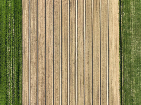 Aerial view of plowed agricultural fields with parallel furrows and green crops on the sides in Borgo d Ale Piedmont Italy.
