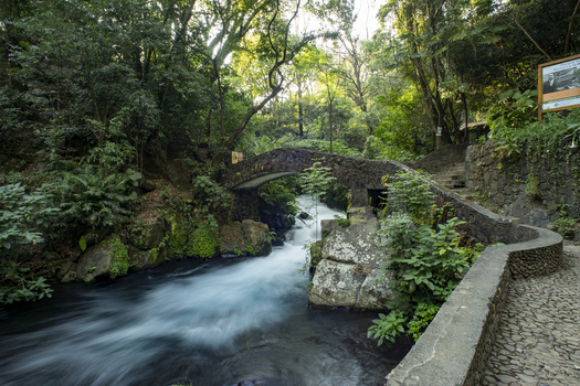View of the stone bridge over the rushing river in Parque Nacional Barranca del Cupatitzio surrounded by lush forest in Uruapan Michoacan Mexico. View of the stone bridge over the rushing river in Parque Nacional Barranca del Cupatitzio surrounded by lush forest in Uruapan Michoacan Mexico.