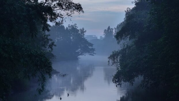 View of a misty river surrounded by dense bamboo trees Bangladesh. View of a misty river surrounded by dense bamboo trees Bangladesh.