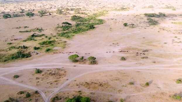 Aerial view of Amboseli National Park Kenya.