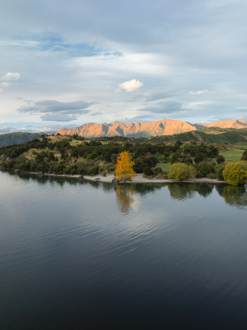Aerial view of the tranquil lake mirroring the moody sky with golden trees standing out against the backdrop of rolling hills Glendhu Bay Otago Region New Zealand. Aerial view of the tranquil lake mirroring the moody sky with golden trees standing out against the backdrop of rolling hills Glendhu Bay Otago Region New Zealand.