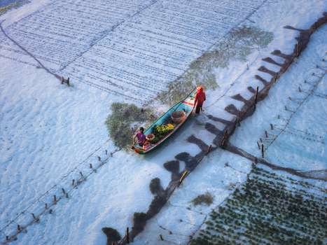 Aerial view of a boat carrying colorful produce is navigated through the waterways amidst the frosted fields Lembongan Bali Indonesia. Aerial view of a boat carrying colorful produce is navigated through the waterways amidst the frosted fields Lembongan Bali Indonesia.