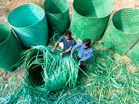 Manikganj Bangladesh 15 January 2025 Aerial view of workers meticulously crafting vibrant green structures from interwoven materials creating a striking pattern against the ground. Manikganj Bangladesh 15 January 2025 Aerial view of workers meticulously crafting vibrant green structures from interwoven materials creating a striking pattern against the ground.