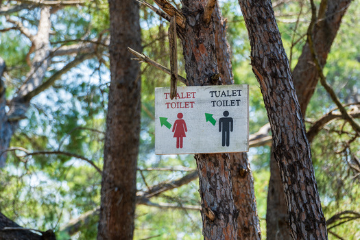 View of a public toilet sign with male and female icons attached to a pine tree in a forest area in Divjake Fier County Albania.