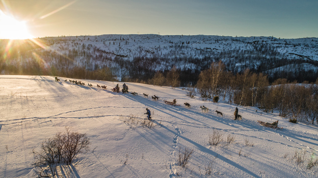 Aerial view of a dog sled team traversing the snow covered hills of the Arctic landscape during the golden hour in Kirkenes Finnmark Norway. Aerial view of a dog sled team traversing the snow covered hills of the Arctic landscape during the golden hour in Kirkenes Finnmark Norway.