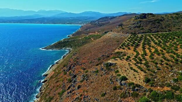 Aerial view of olive groves on the coast of Crete Greece.