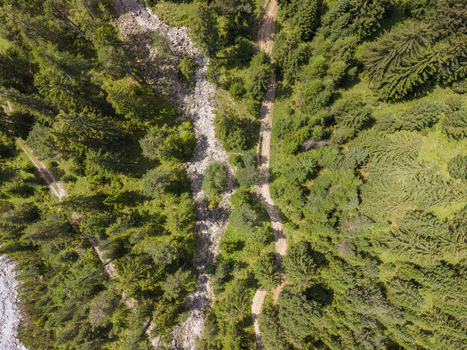 Aerial view of a dry riverbed winding through a dense alpine forest with a dirt trail in Imst Tyrol Austria.