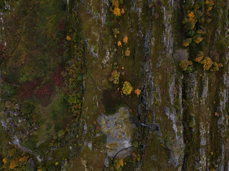 Aerial view of a steep rocky cliffside covered in moss and colorful autumn trees in Henningsvaer Nordland Norway.