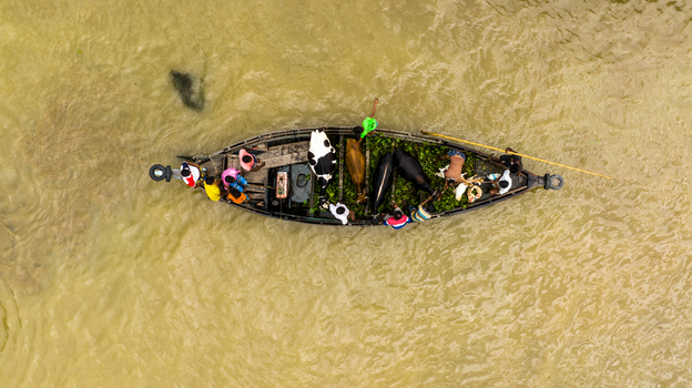 Aerial view of a wooden boat transporting people and cows across the river near Baish Mowza Sarak Bazar in Nabinagar Chittagong Division Bangladesh. Aerial view of a wooden boat transporting people and cows across the river near Baish Mowza Sarak Bazar in Nabinagar Chittagong Division Bangladesh.