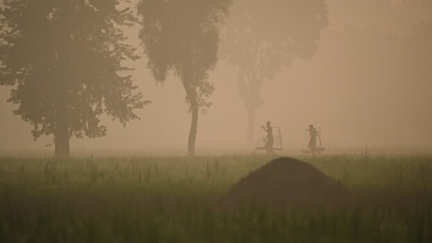 View of workers carrying shoulder poles in misty fields Bangladesh. View of workers carrying shoulder poles in misty fields Bangladesh.