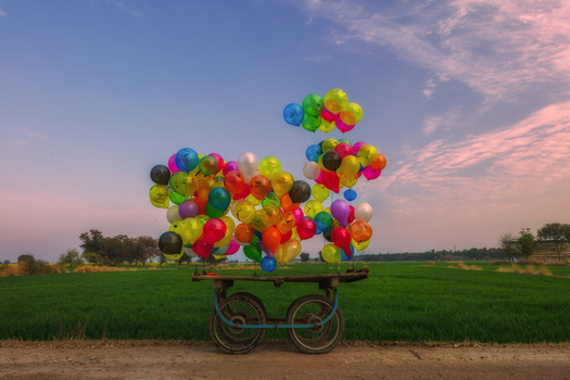 View of a wooden cart loaded with a large bunch of colorful balloons standing on a dirt path beside a vibrant green field under a soft sunset sky in Jhelum Punjab Pakistan.