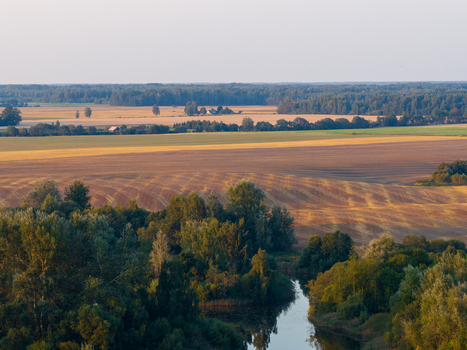 Aerial view of rural landscape with golden fields dense forests and a winding river under soft evening light Taujenai Vilnius County Lithuania.