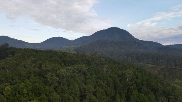 Aerial view of Hutan Pinus Rahong featuring dense pine forest canopy and rolling mountains under a soft sky in Pangalengan West Java Indonesia. Aerial view of Hutan Pinus Rahong featuring dense pine forest canopy and rolling mountains under a soft sky in Pangalengan West Java Indonesia.